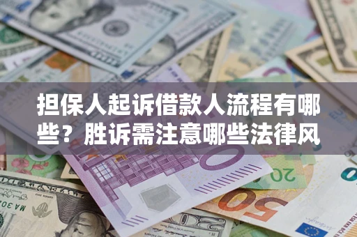 武汉担保人起诉借款人流程有哪些？胜诉需注意哪些法律风险？