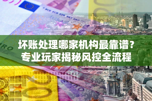 武汉坏账处理哪家机构最靠谱？专业玩家揭秘风控全流程