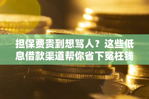 武汉担保费贵到想骂人？这些低息借款渠道帮你省下冤枉钱