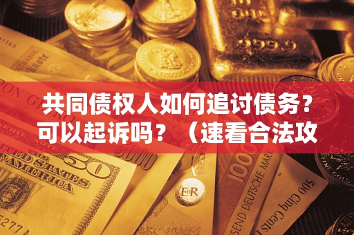 武汉共同债权人如何追讨债务？可以起诉吗？（速看合法攻略）