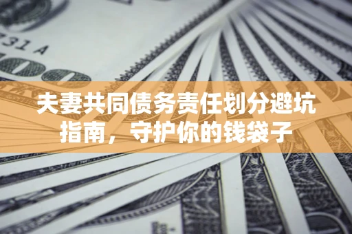 武汉夫妻共同债务责任划分避坑指南，守护你的钱袋子
