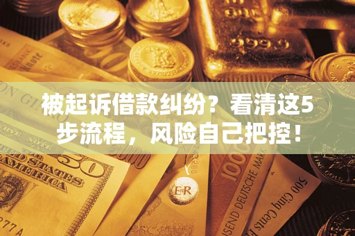 武汉被起诉借款纠纷？看清这5步流程，风险自己把控！