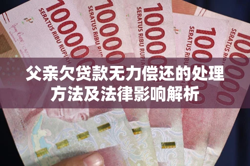 武汉父亲欠贷款无力偿还的处理方法及法律影响解析